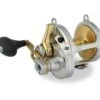 Shimano Talica 20 2 Speed Overhead Reel -Shimano ShimanoTalica2Speed20 1024x1024