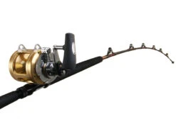 Shimano Tiagra 50 A And Backbone Elite Fully Rollered Game Combo 5'7'' 24kg 1pc 9 Shimano Tiagra 50 A And Backbone Elite Fully Rollered Game Combo 5'7'' 24kg 1pc -Shimano bundledtrti50sandtdbe640 3