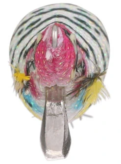 Shimano Sephia Clinch Squid Jigs 12 Shimano Sephia Clinch Squid Jigs -Shimano shimano sephia clinch squid jigs 88180.1678982091