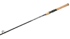 Shimano 2022 Teramar Southeast Spinning Rods -Shimano shimano teramar southeast spinning rods 41378.1666620526