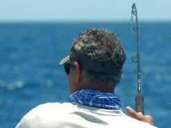 Shimano Terez Conventional Rods -Shimano shimano terez conventional fishing rods 83511.1661538644