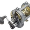 Shimano Tyrnos 2-Speed Reels -Shimano shimano tyrnos 2 speed reels 07599.1671550260