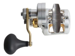 Shimano Talica 8 II 2-Speed Jigging Reel -Shimano trtac08 2 1