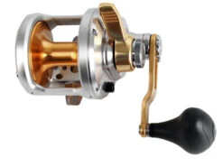 Shimano Talica 12 And Carbolite SW Overhead Strayline Combo 7ft 10-15kg 9 Shimano Talica 12 And Carbolite SW Overhead Strayline Combo 7ft 10-15kg -Shimano trtac11 4 1
